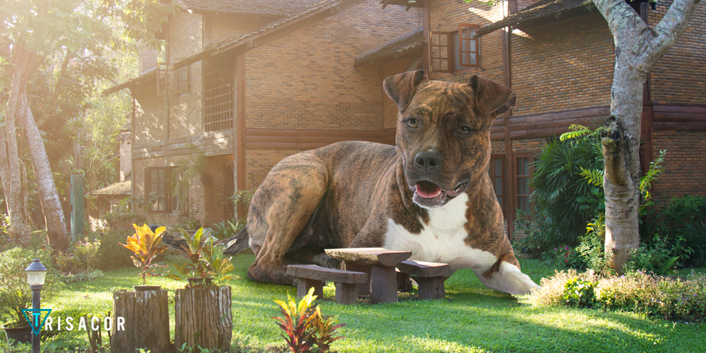 5 Tendencias en reformas de baños 2020