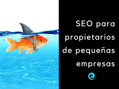 Guía de SEO para propietarios de pequeñas empresas