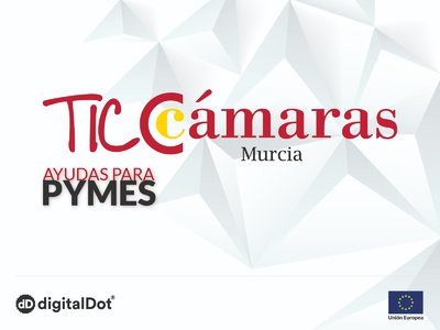 AYUDAS A PYMES TICCÁMARAS 2020
