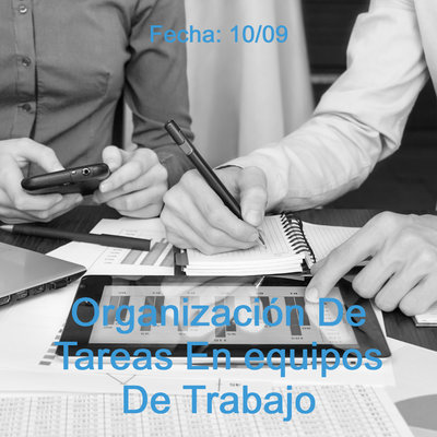 Organización de Tareas en Equipos de Trabajo