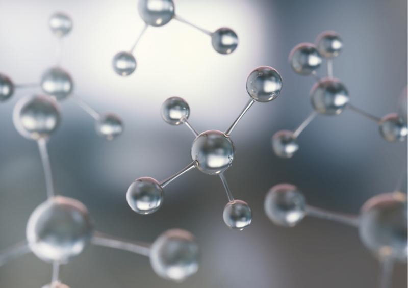 Un estudio de BIOVAL y REDIT pone en el mapa de la Comunitat 88 proyectos tecnológicos vinculados con la Bioeconomía