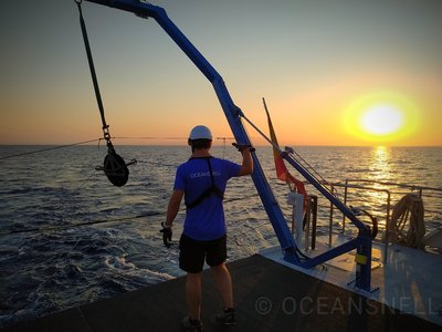 Estudio de L�nea Base Marina del enlace submarino de interconexi�n el�ctrica entre Pen�nsula y Baleares.