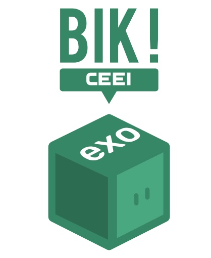 bik exo