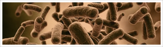 Investigaciones y Aplicaciones Biotecnológicas, S.L.