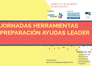 Jornadas online sobre preparación de ayudas LEADER