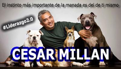 C�sar Mill�n: El instinto m�s importante de la manada es del de ti mismo [V�deo]
