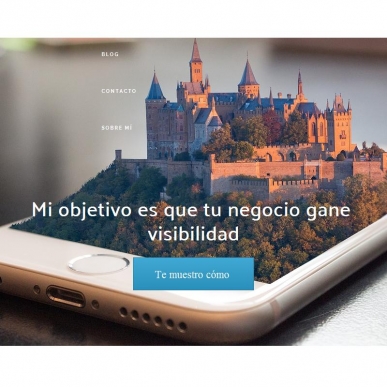 Consultor de Marketing Online - Guillermo Fuentes especialista en Posicionamiento Web SEO