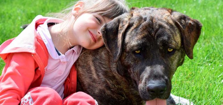 ¿Es bueno criar a los niños con animales?