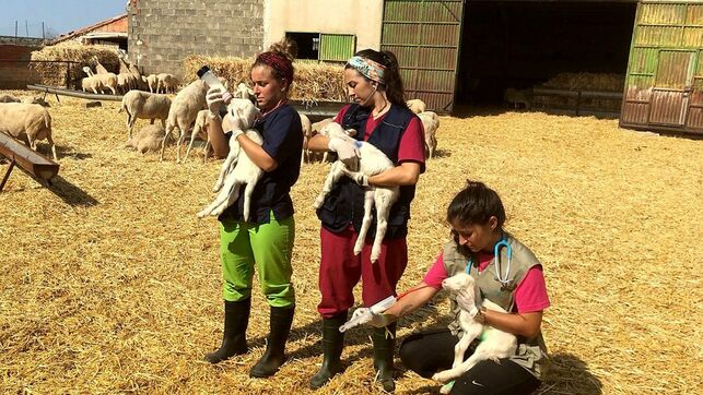 El 'Erasmus rural': universitarios hacen sus pr�cticas en municipios de menos de 3.000 habitantes