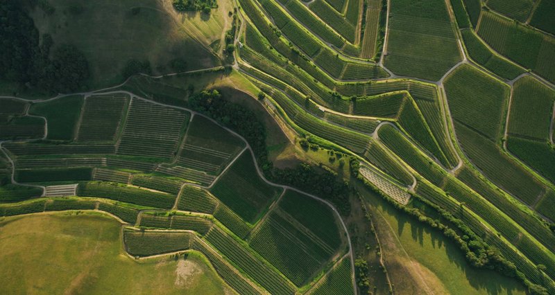 �Despoblaci�n? Espa�a, tercer pa�s de Europa con m�s aut�nomos en zonas rurales