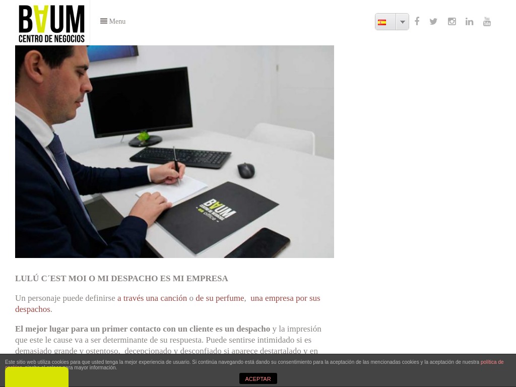 Mi Despacho Mi Empresa | Baum Centro de Negocios On Office