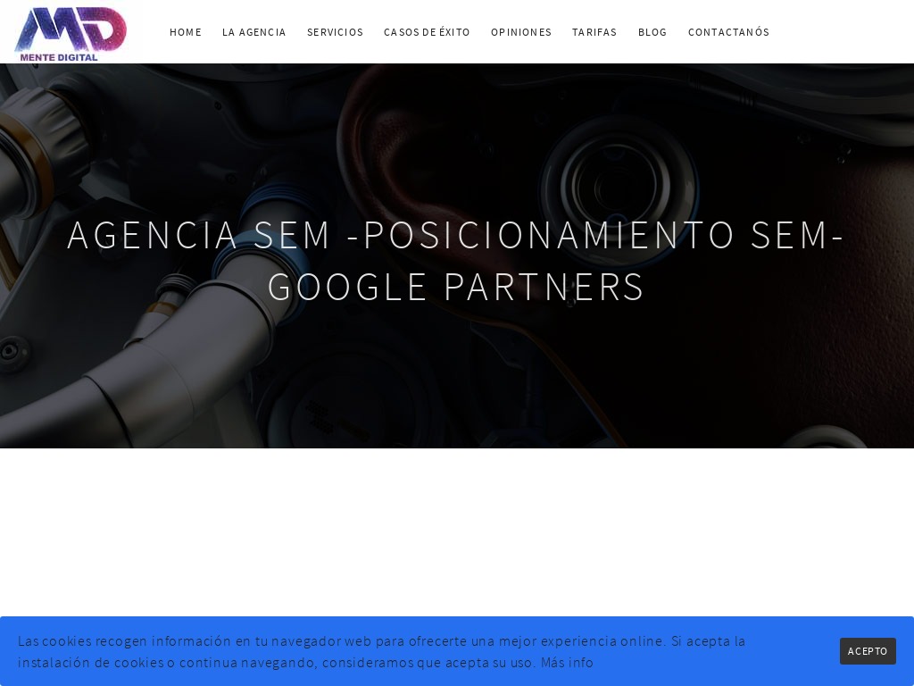 Agencia SEM-Posicionamiento SEM-Campa�as Adwords