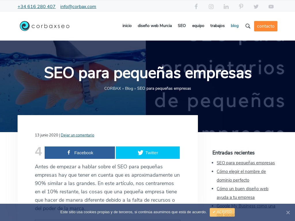 SEO para peque�as empresas. Consejos y trucos