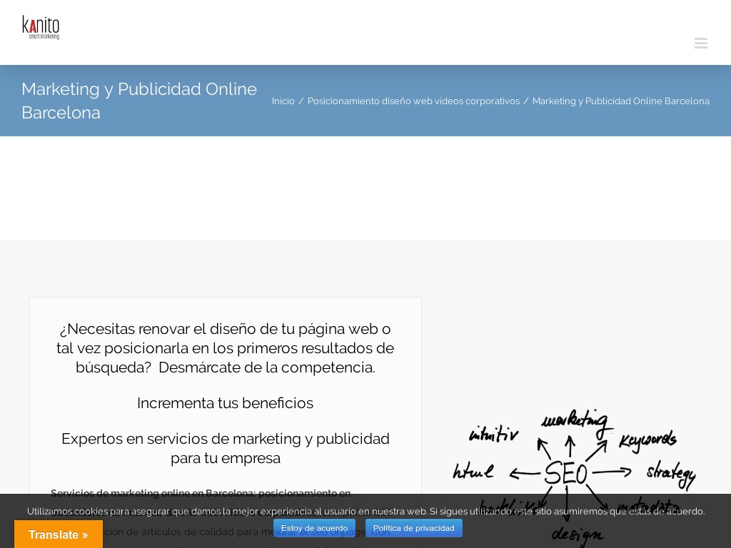 Marketing y Publicidad Online Barcelona - Diseño web Barcelona