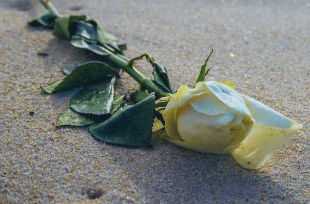 ¿Cómo esparcir las cenizas de difuntos de forma legal?