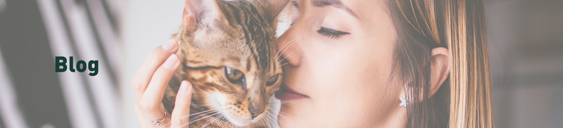 ¡Mantente informado con el blog de Bravery Pet Food!