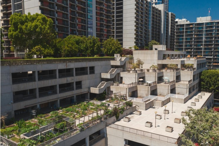 Red Antipajaros para huertos urbanos: protege tus cultivos sin da�ar a las aves